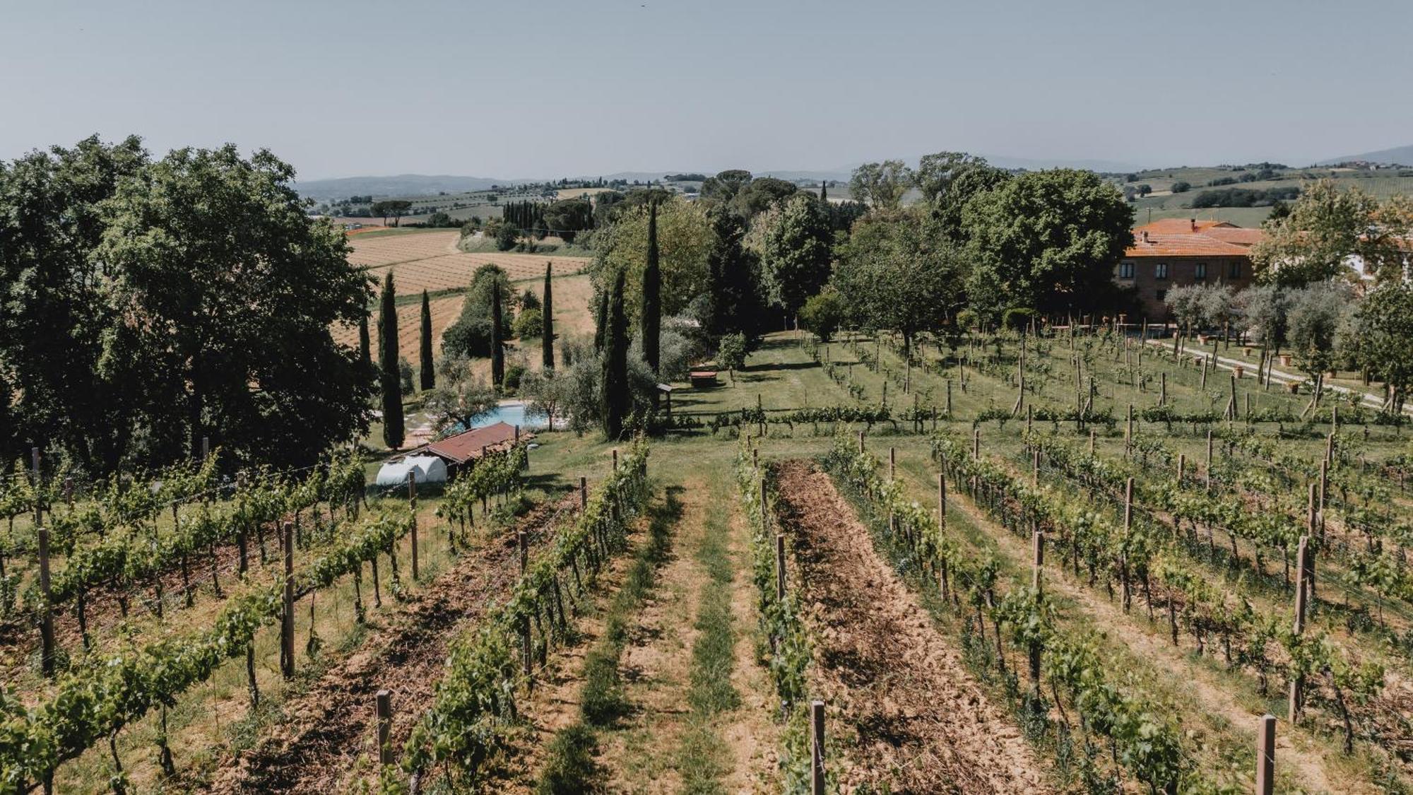 Podere Biagio Valiano Екстериор снимка