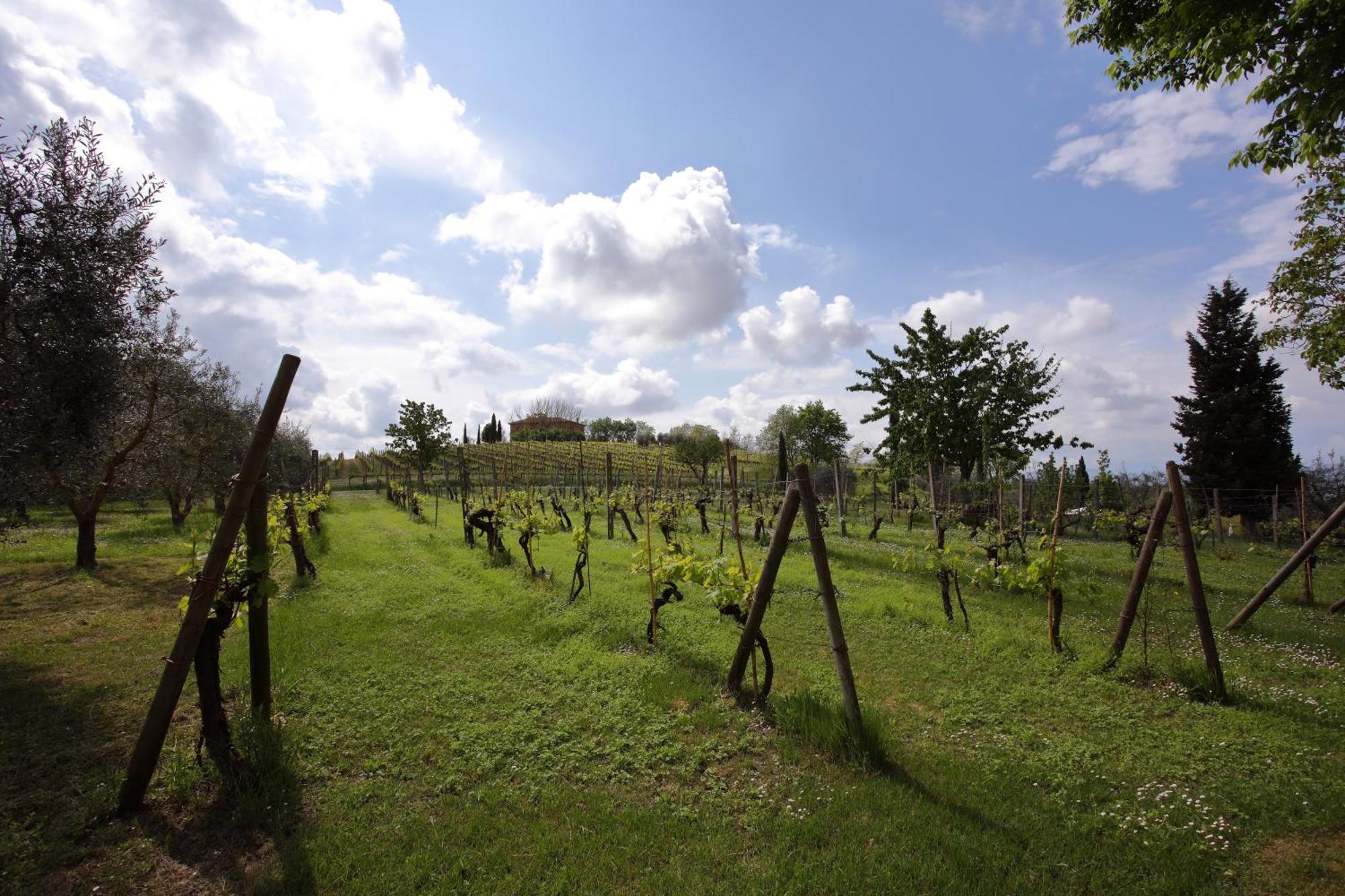 Podere Biagio Valiano Екстериор снимка